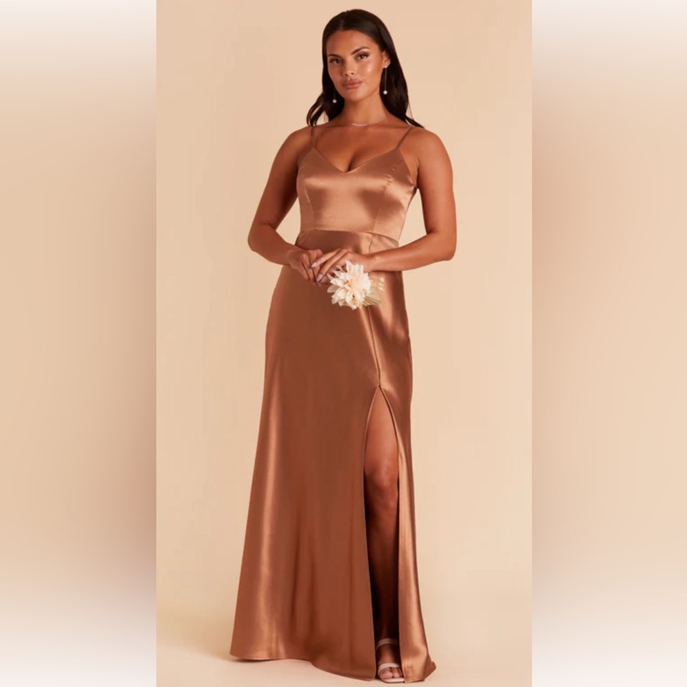 Birdy Grey Jay dress in Rust